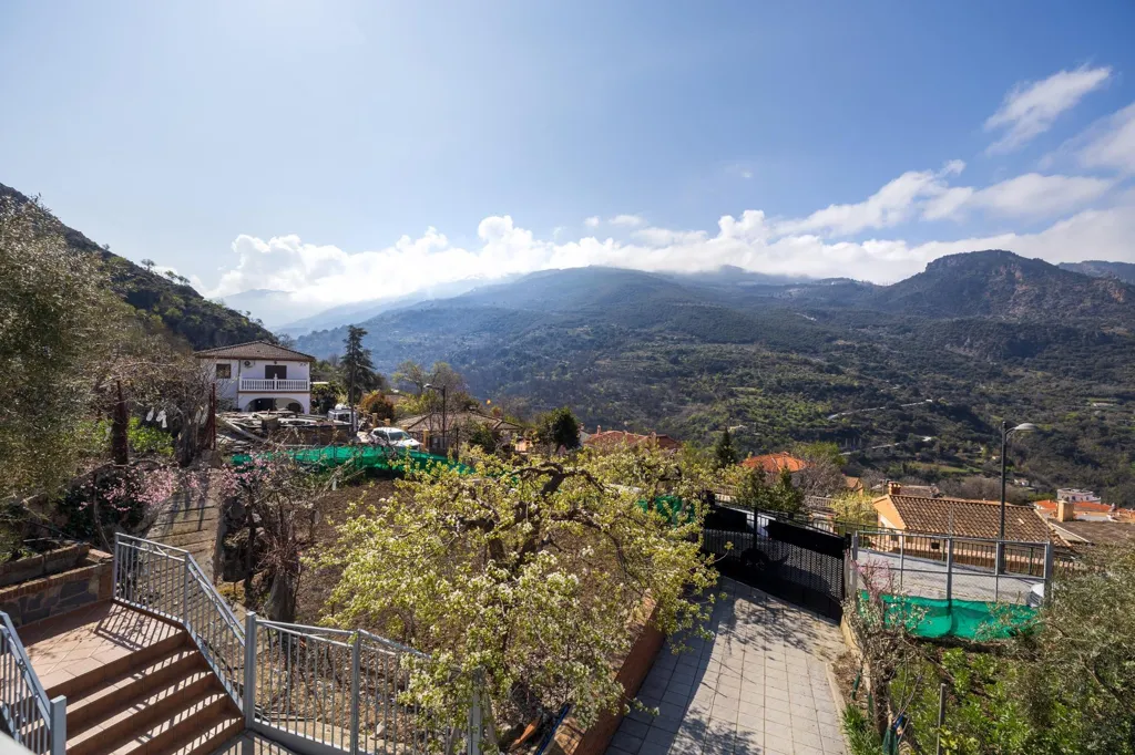 terrace_patio