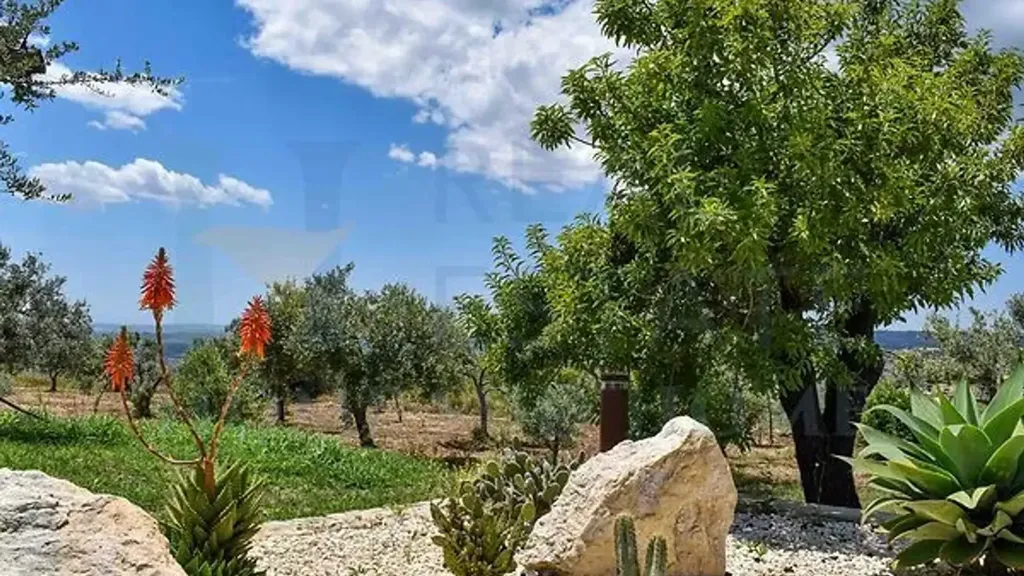 Aed - Baroque Villa with Pool in Noto