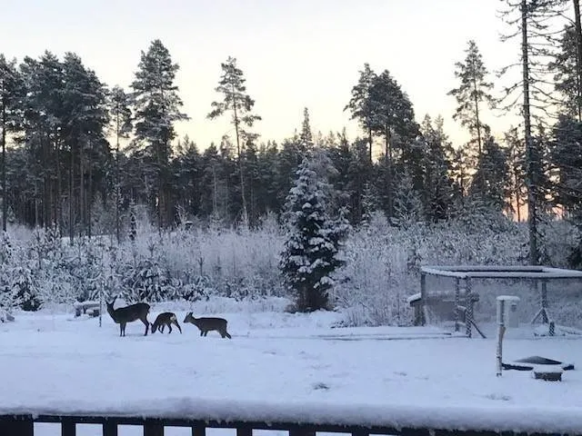 4-toaline maja asukohas Mora kommun