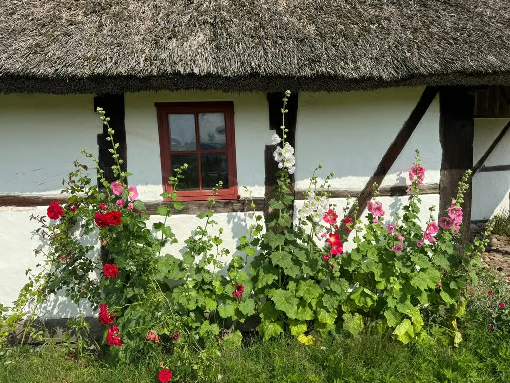 Välivaade - Historic Cross-Vaulted Farmhouse with Restaurant in Halland