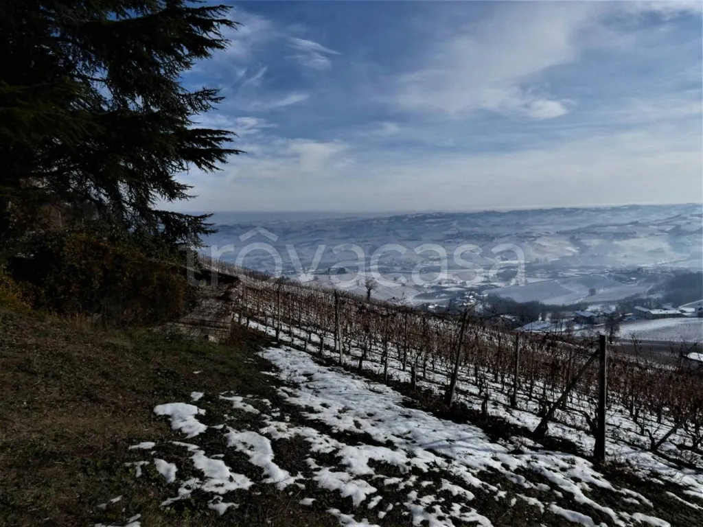 Jardin - Terraced House with Panoramic Views in La Morra
