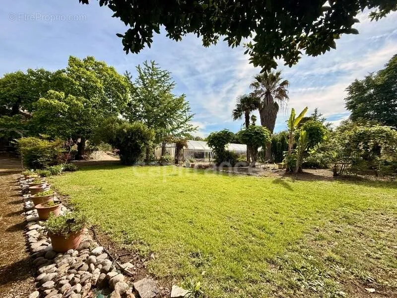 Jardin - Propriété de Caractère avec Parc à Limoux
