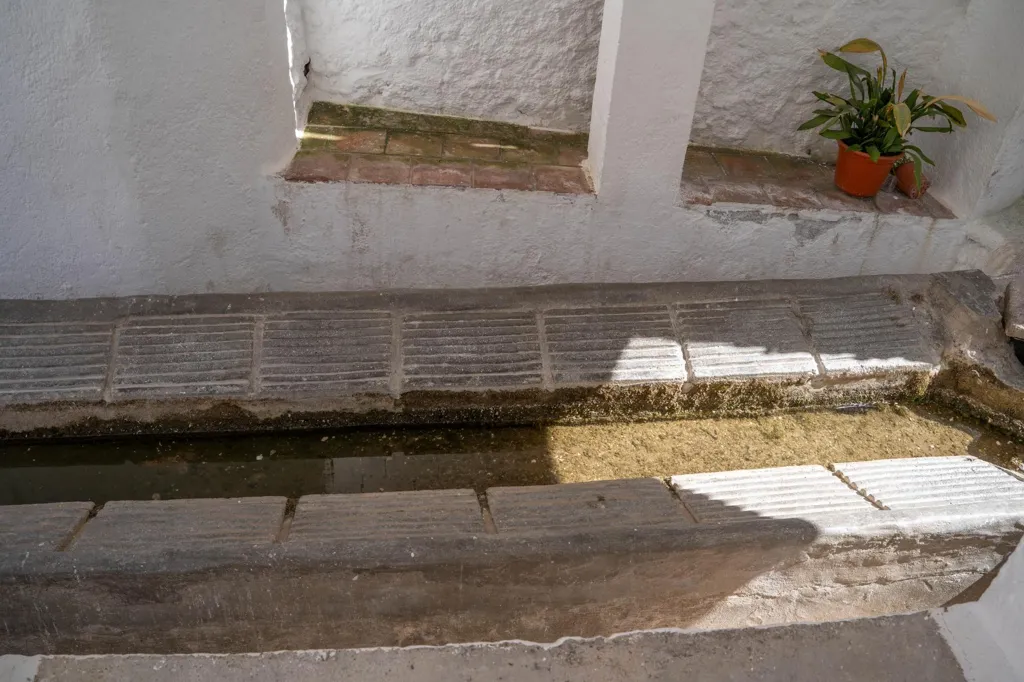 Jardin - Two-Storey House with Terrace in Albuñuelas