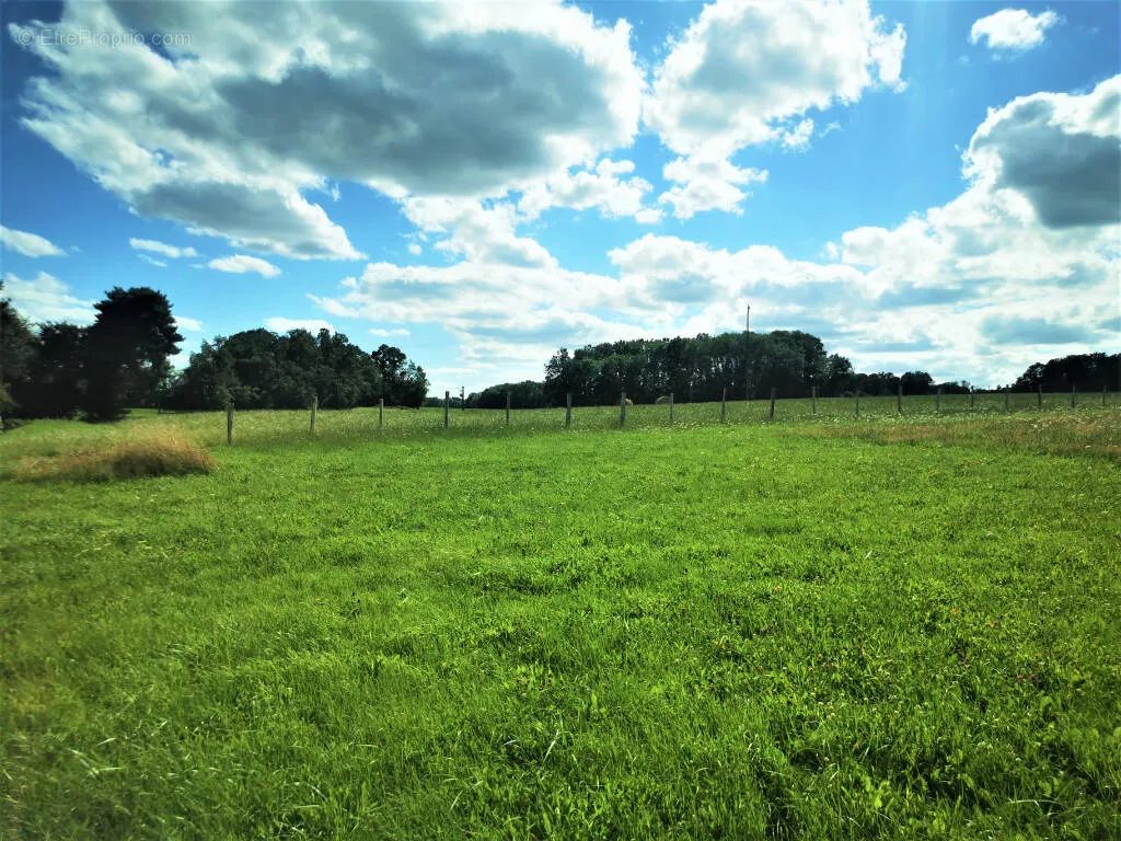 Jardin - Terrain à Bâtir de 5448 m² à Courboin
