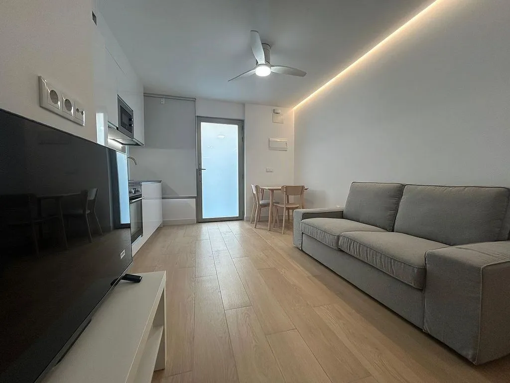 Elutuba - Loft with North Orientation in Elche Centre