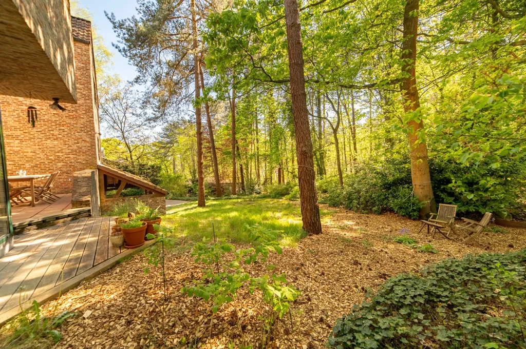 Aed - Villa with Woodland View in Lichtaart