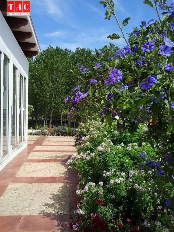 Terrace - Luxury Farmhouse with Pool in Ayamonte