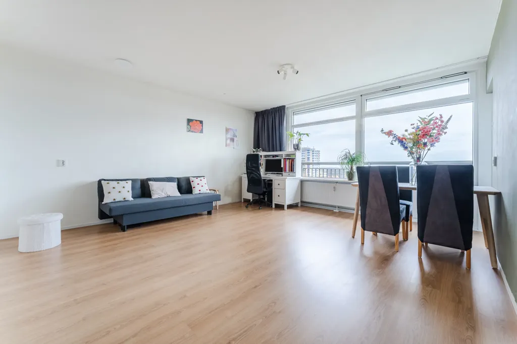 Séjour - Bright Two-Bedroom Flat with Panoramic View in Haarlem