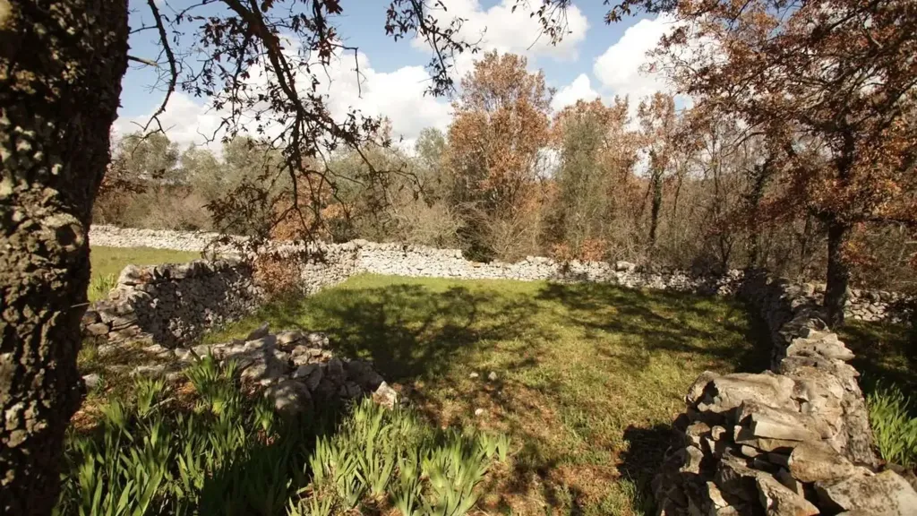 Aed - Rustic Trullo with View in Ostuni