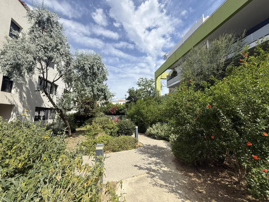 Jardin - Appartement T2 avec Terrasse dans le Quartier Ovalie à Montpellier