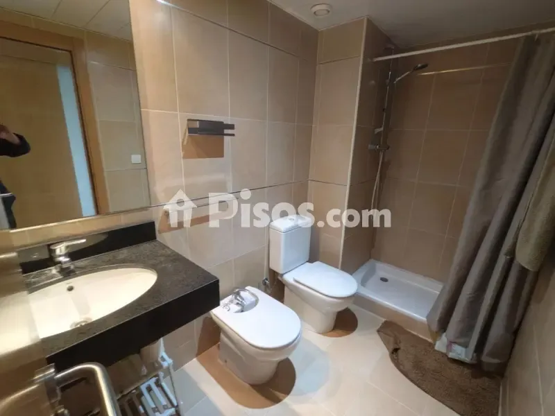 Luxury Loft with Park View in Terrassa