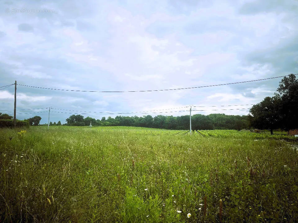 Jardin - Terrain à Saint-Denis-De-Pile