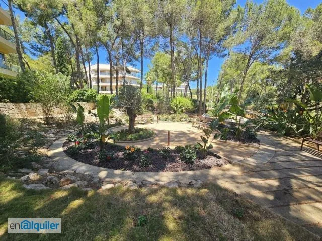 Aed - Apartment with Pool in Sol de Mallorca