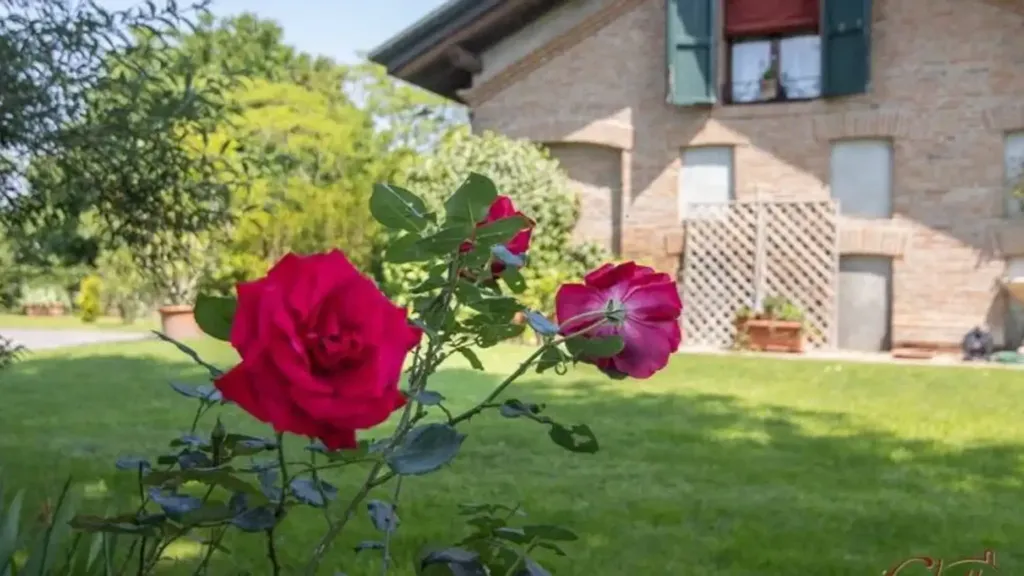 Aed - Villa with Garden in Copparo, Ferrara