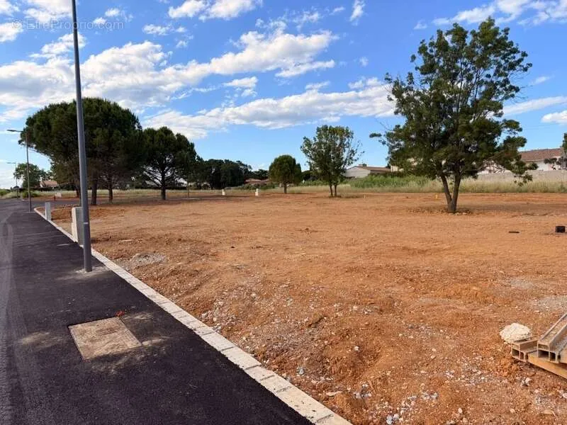 Terrain Viabilisé pour Activité Artisanale à Alignan-du-Vent