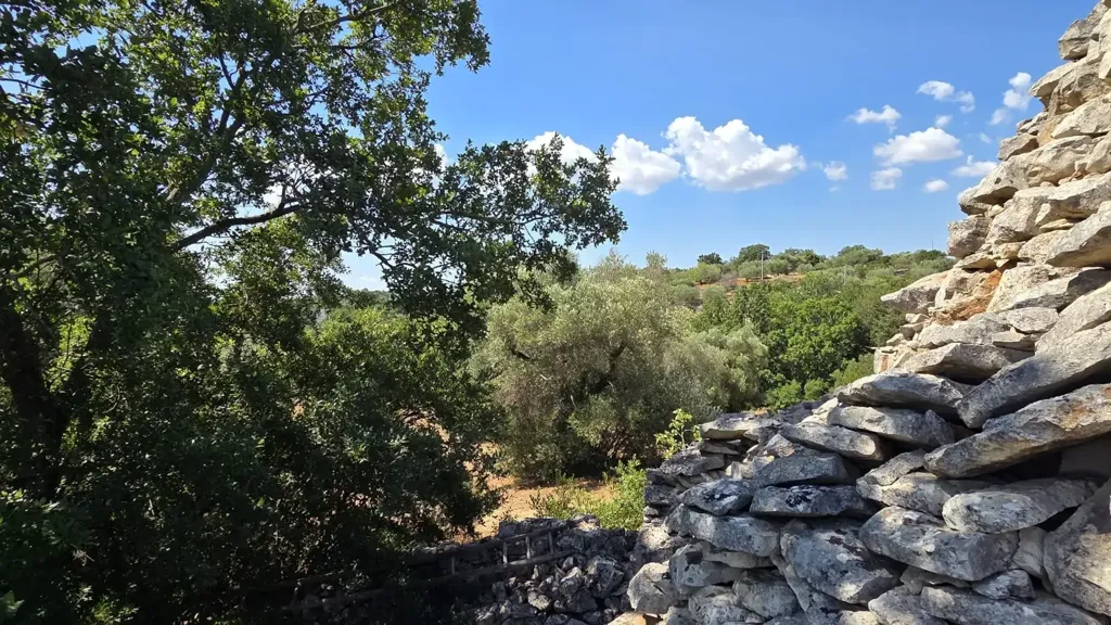 Jardin - Trullo Complex for Renovation in Cisternino