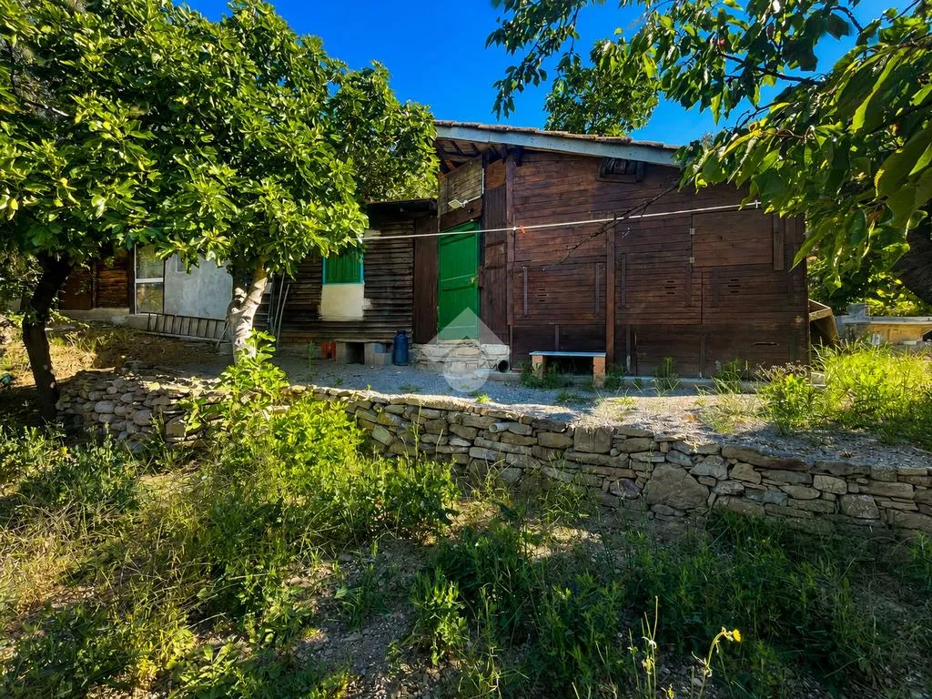 Esterno - Rustic Cottage with Olive Grove in Perinaldo