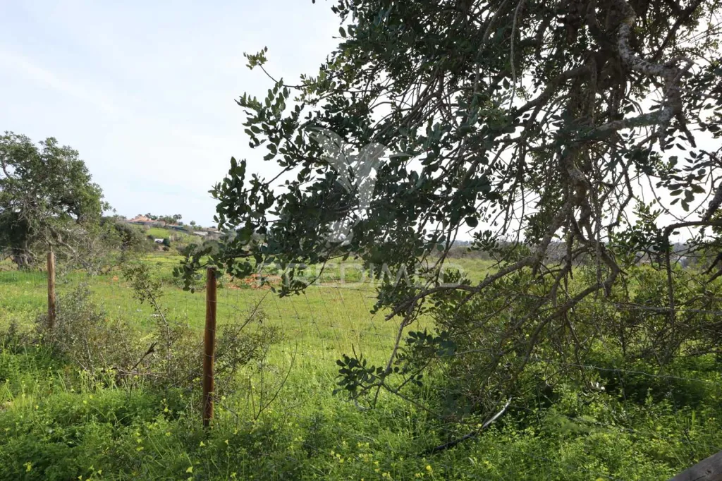 Jardin - Agricultural Land with Fruit Trees in Albufeira