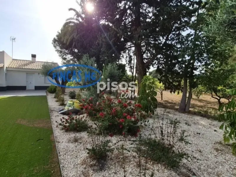 Jardin - Estate with Pool and Garden in Mutxamel