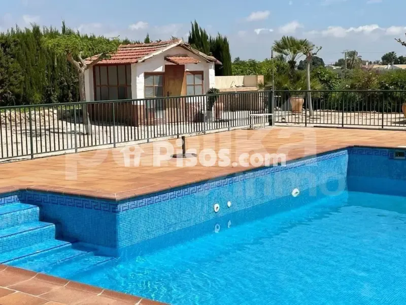 Piscine - Historic Villa with Archaeological Setting in Elche