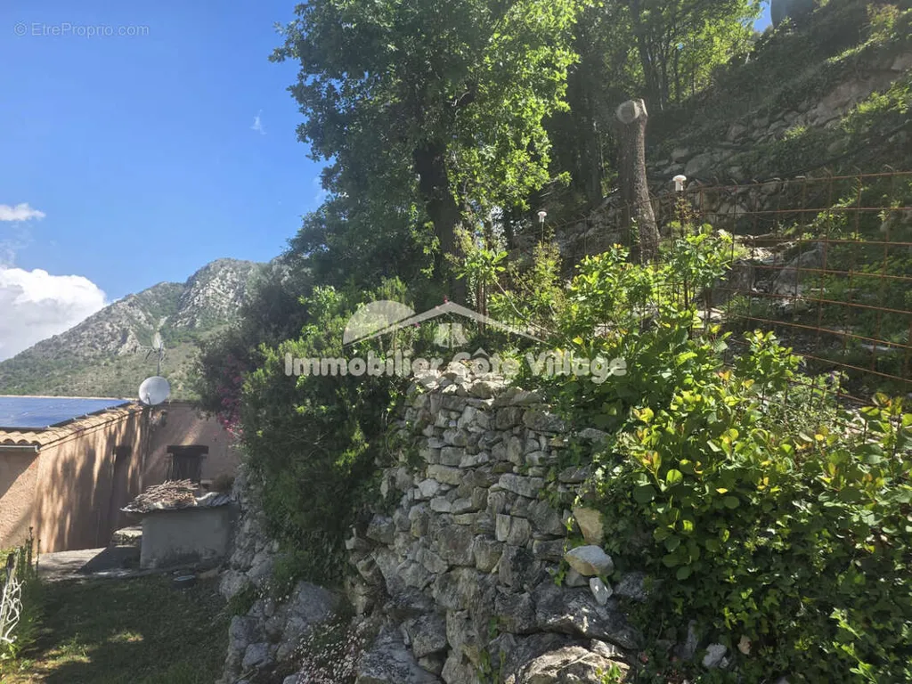 Jardin - Villa avec Vue Montagne à Breil-sur-Roya