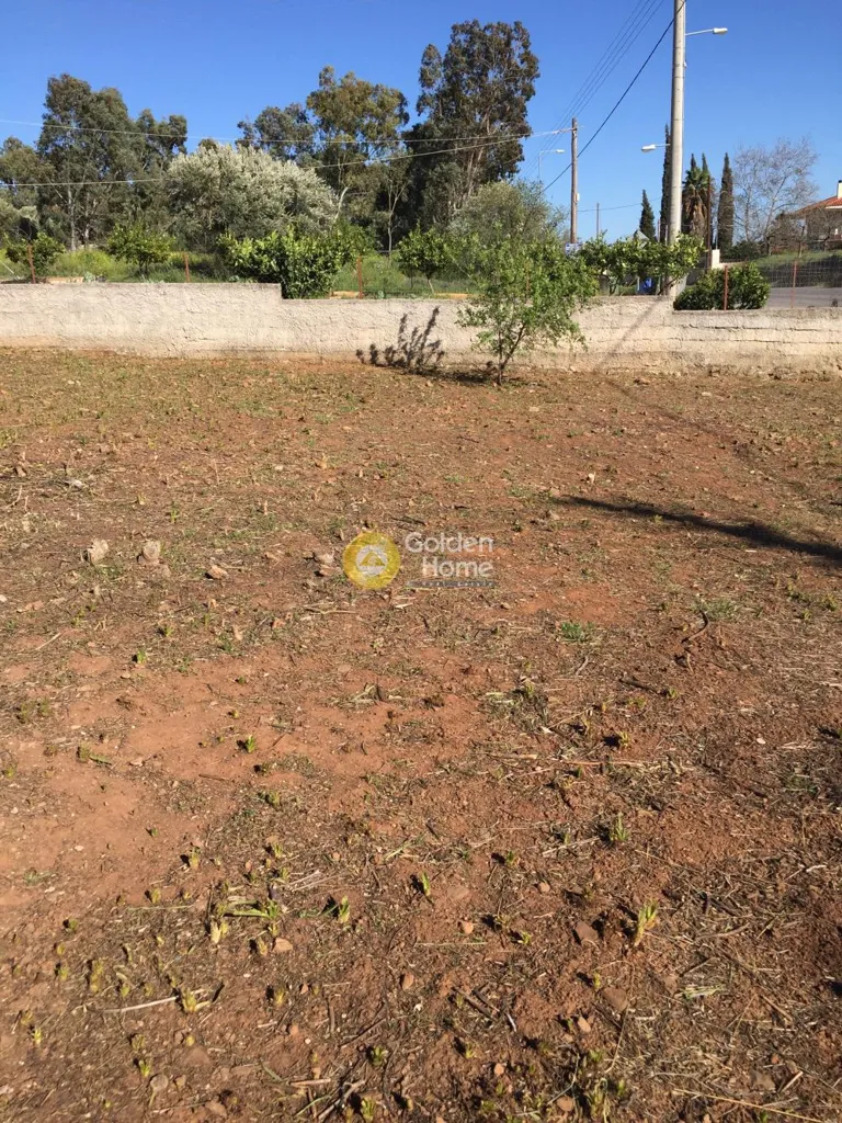 Aed - Plot with View in Paiania - Sparoza
