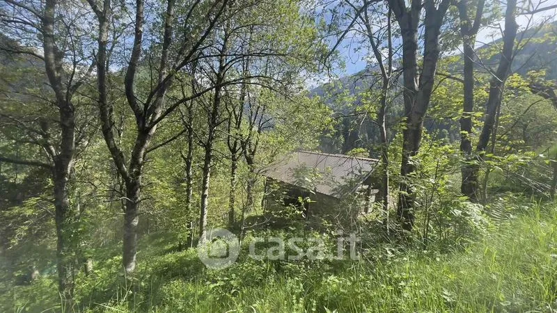 Garden - Rustic Cottage with Garden in Pedesina