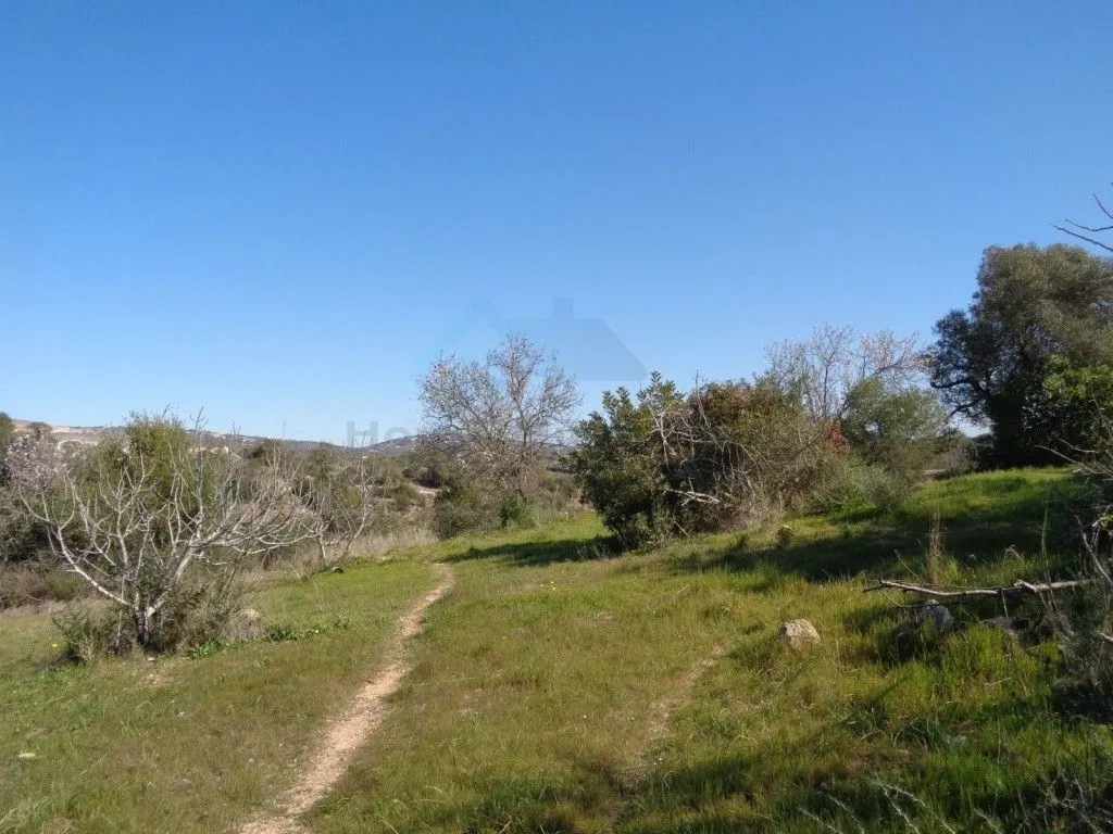 Jardin - Rustic House with Land in Vale Judeu, Loulé