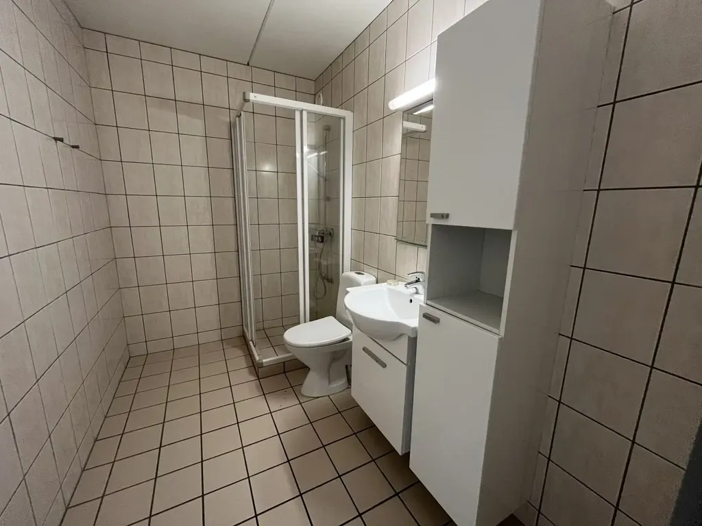 Vannitoad - 3-Bed Apartment with Pets Allowed in Aalborg SØ