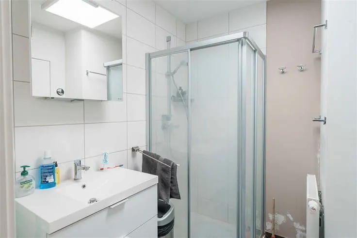 1-bedroom apartment in Brussels