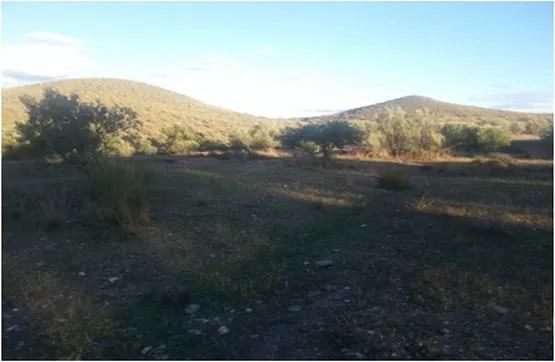 Garden - Buildable Land in Alboloduy, Almería