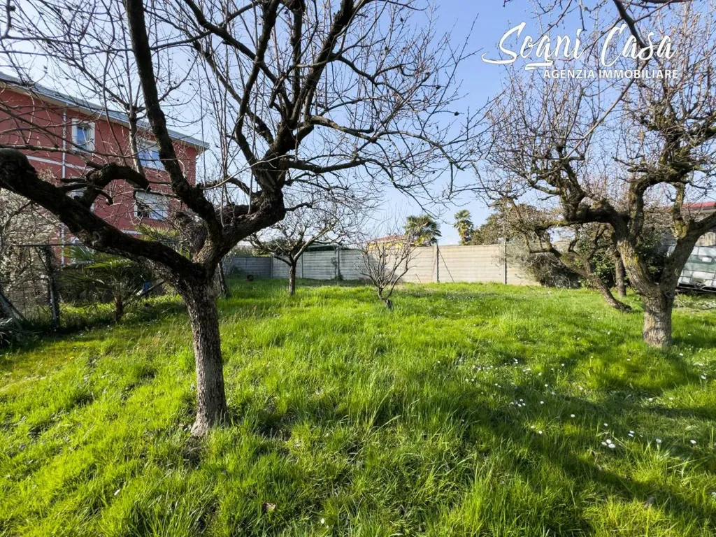 Jardin - Villa with Garden in Marano Ticino