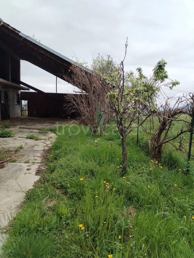 Jardin - Cascina with Farmhouse Features in Barge