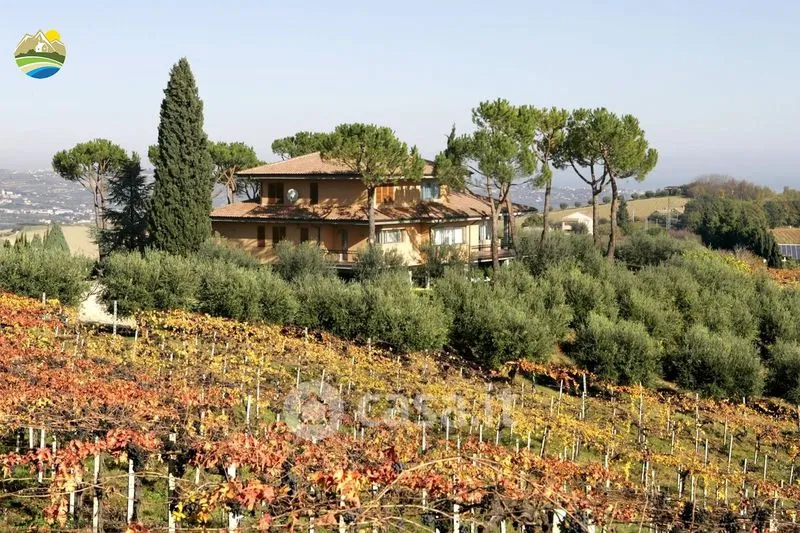 Jardin - Panoramic Villa with Private Park in Notaresco