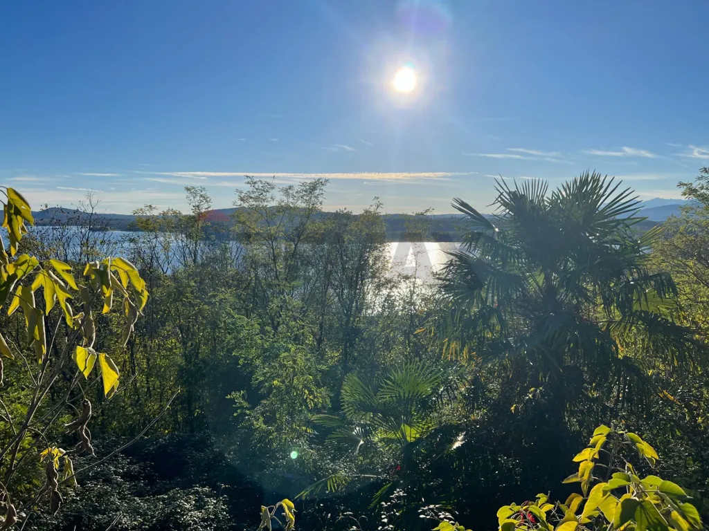 Buildable Land with Lake View in Gavirate