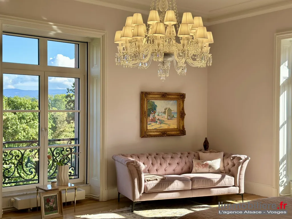 Soggiorno - Luxury Flat with Park Views in Saint-Dié-des-Vosges
