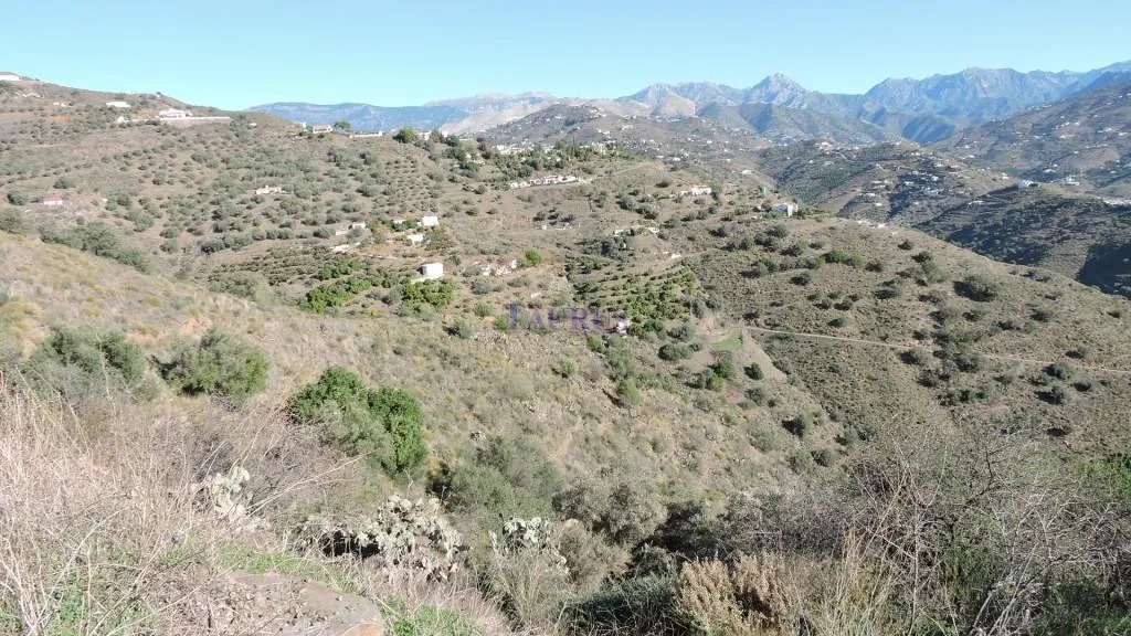 Traditional Finca with Mountain Views in Sayalonga