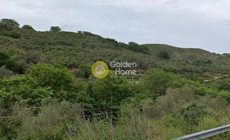 Aed - Buildable Plot with Olive Trees in Floria, Selino