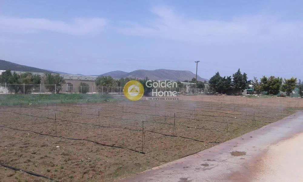 Aed - Agricultural Plot with Unrestricted View in Marathon Centre