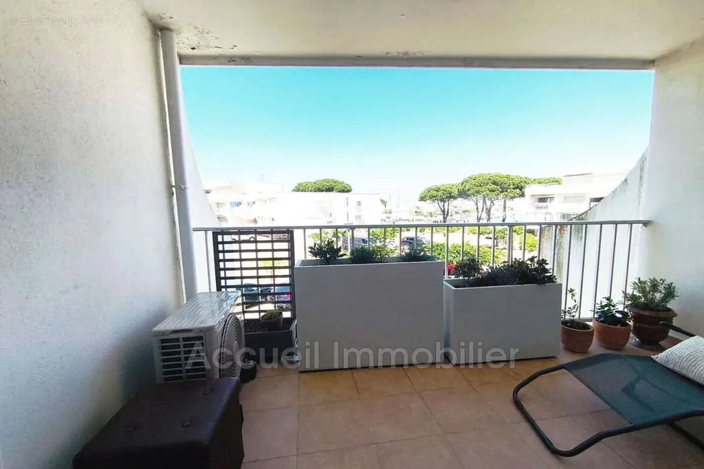 Terrasse - Studio avec Vue Port à Le Grau-Du-Roi