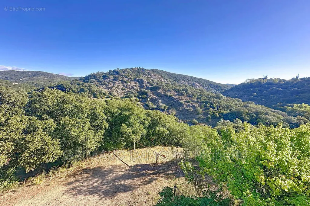 Aed - Duplex with Pool near Grimaud