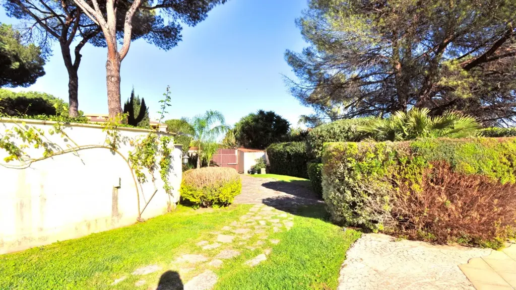 garden