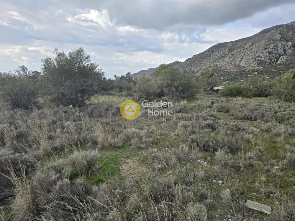 Garden - Plot with Sea View in Loutraki-Perachora