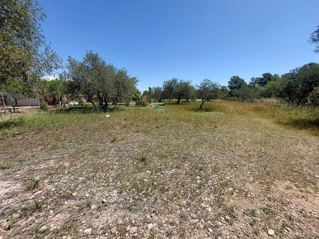 Jardin - Rustic Cottage with Mediterranean Garden in Mont-Roig