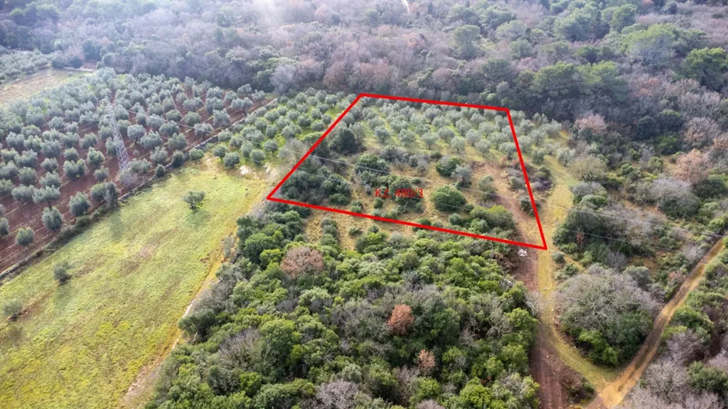 Aerial - Olive Grove Land in Fondole, Istria