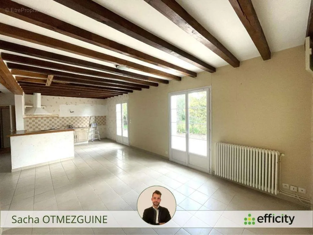 Séjour - Pavillon avec Grand Terrain Arboré à Yzeure-sur-Creuse