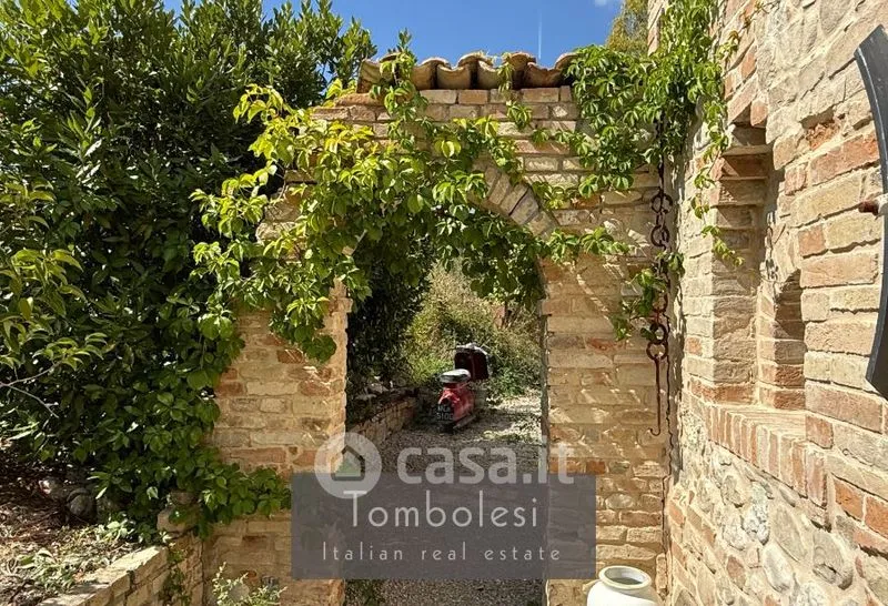 Jardin - Restored Rustico with Vineyard in Cossignano
