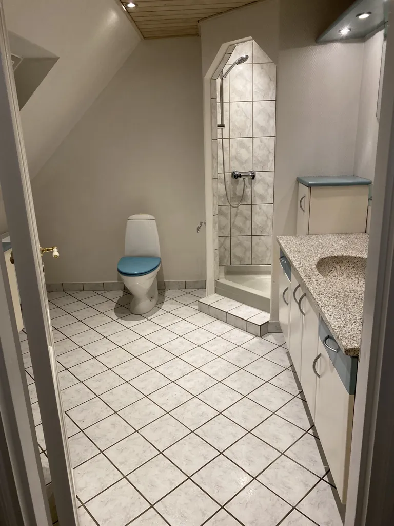 Salles de bain - Detached House with Heated Workshop in Balslev