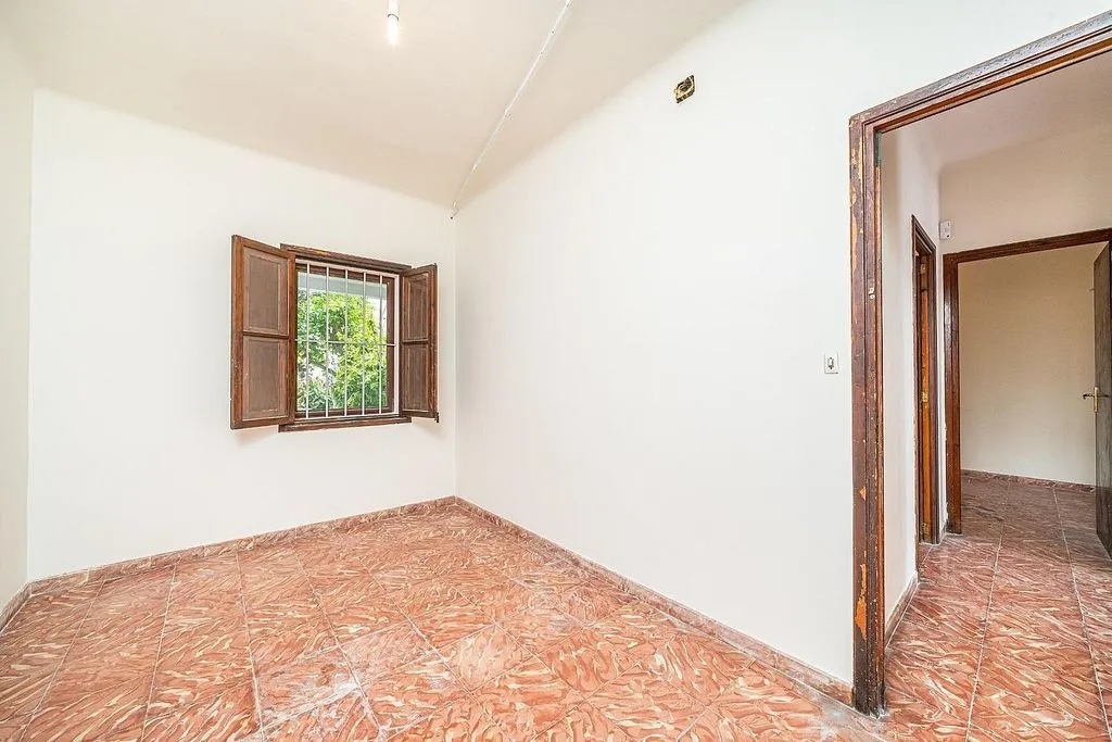 Toad - Ground Floor Flat with Terrace in Ciudad Jardín