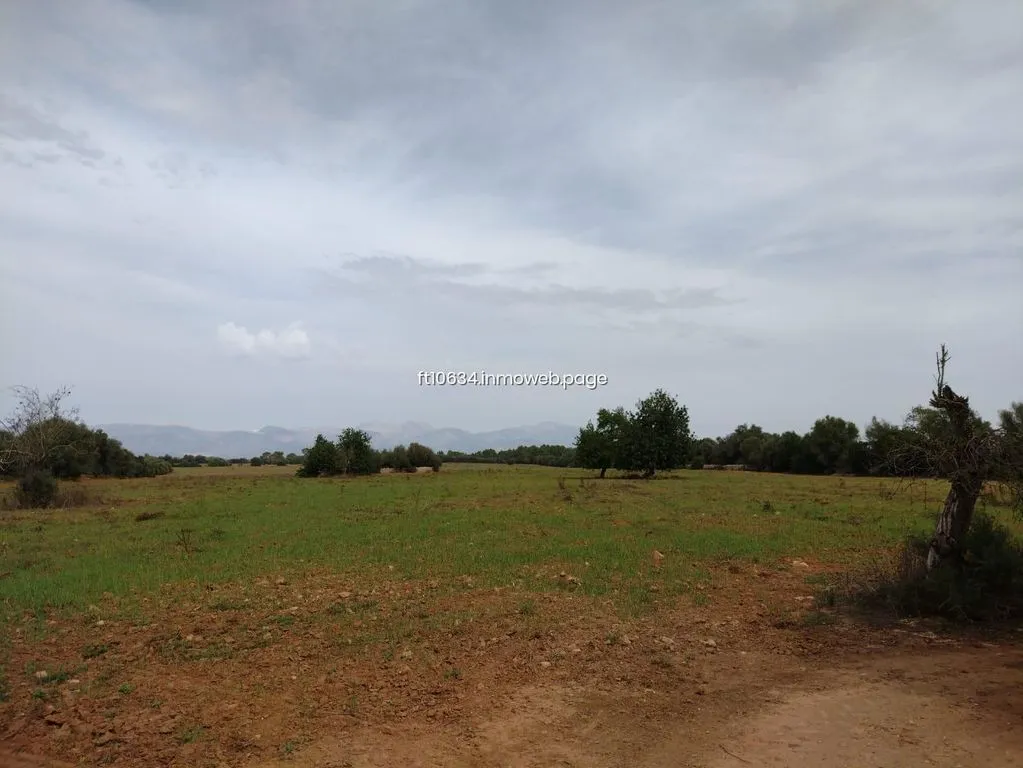 Aed - Luxury Farmhouse with Stone Walls in Algaida